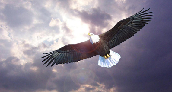 304am永利集团官网(中国)有限公司-Official Website