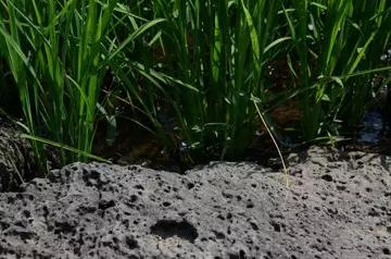 304am永利集团官网(中国)有限公司-Official Website